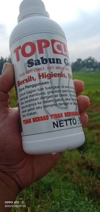 Sabun Cair Fermentasi Lumut Islandia di Dalam Labu Perak: Perpaduan Sains, Tradisi, dan Kemewahan Alami