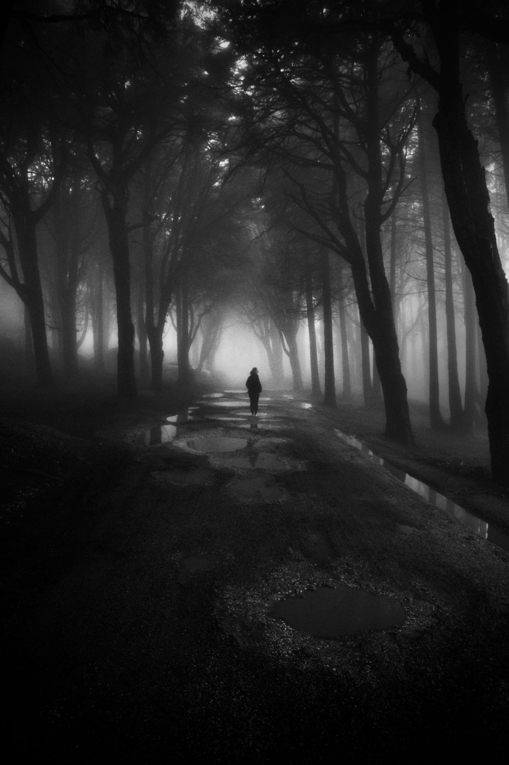 Serum Abadi: Rahasia Anti-Penuaan Tersembunyi di Kabut Hutan Angker